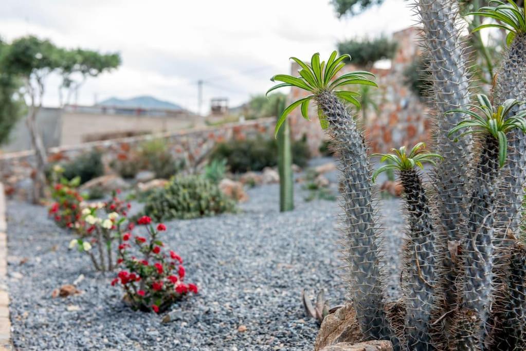 Agro Nostro-Agave With Superb View Villa Agios Nikolaos  Exterior photo